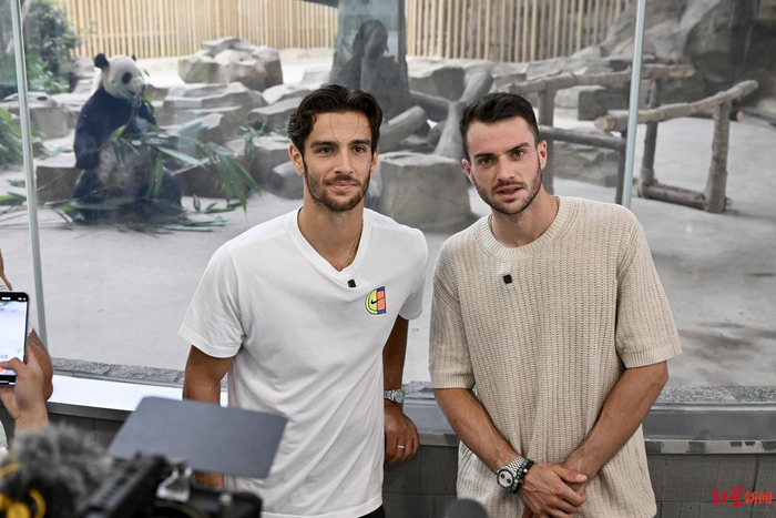 马克西组成 马克西组成